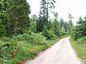 Une végétation variée sur le plateau du Fossard